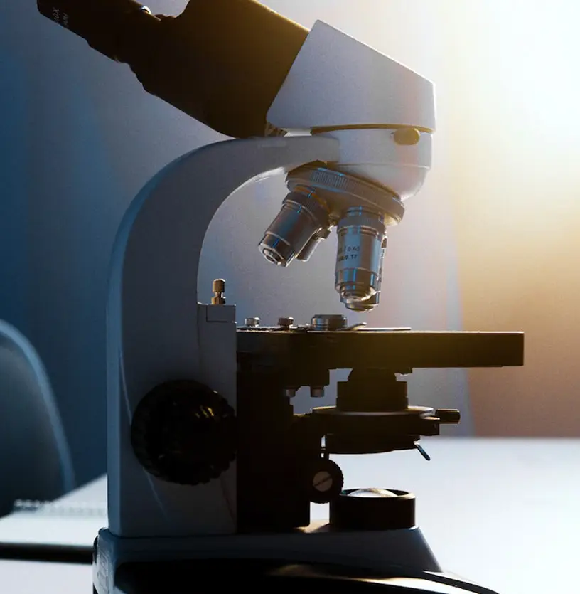 Contract research organization services in India