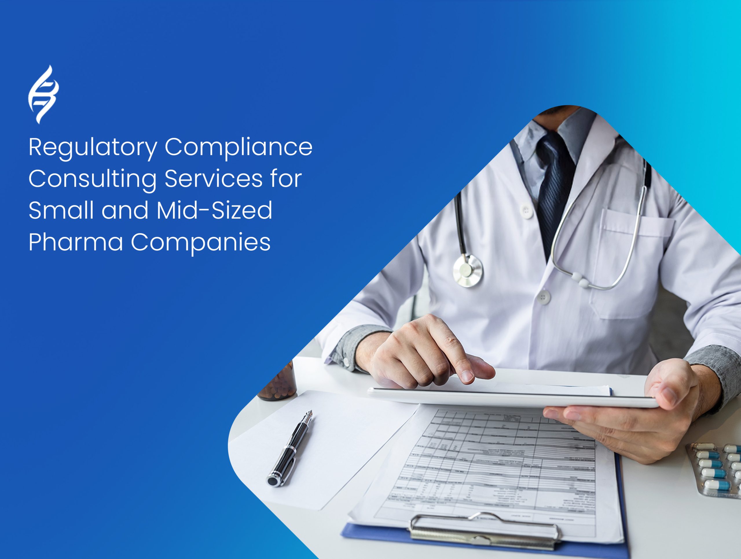 Regulatory Consulting For Small Business