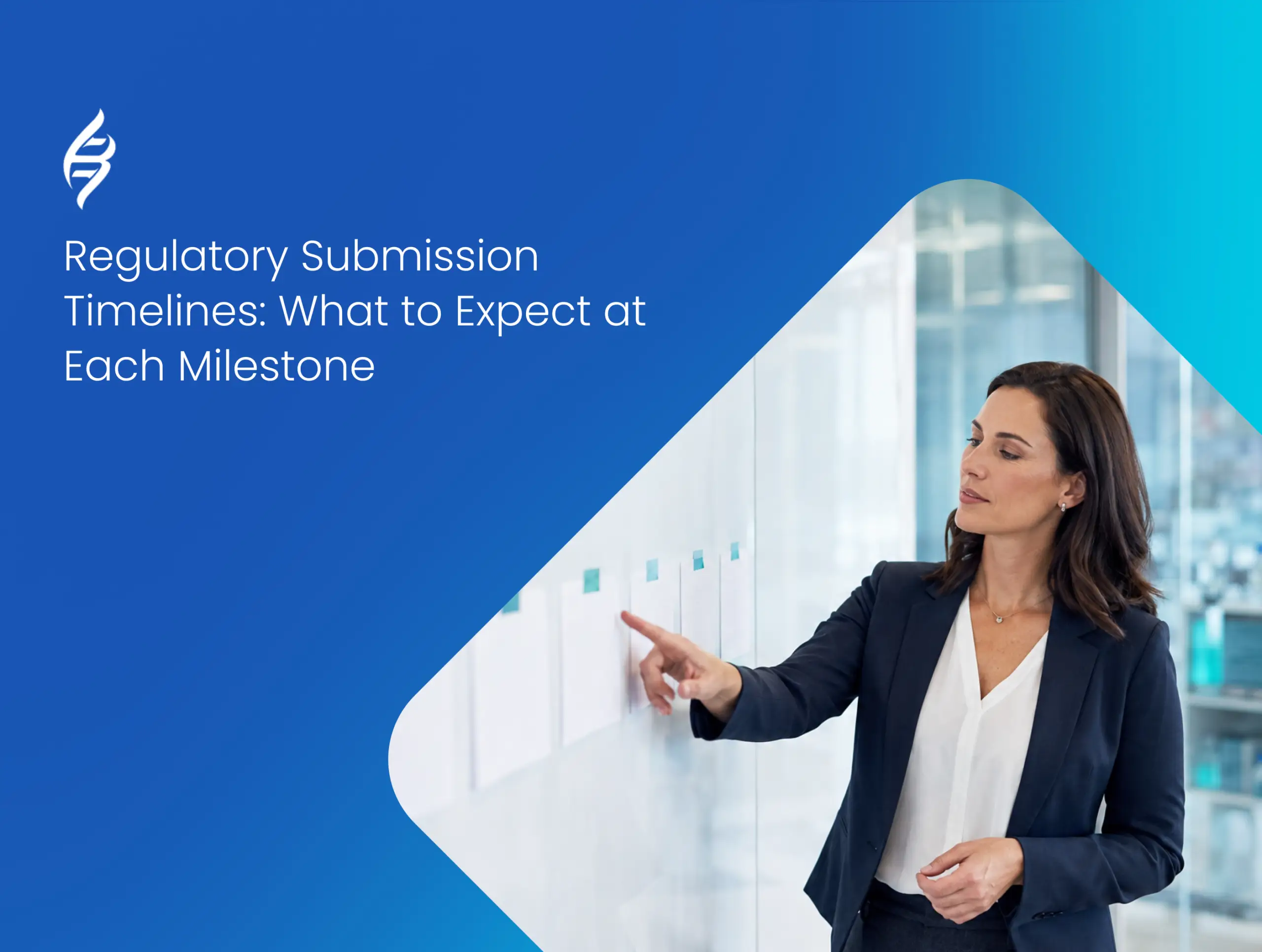 Regulatory Submission Timelines